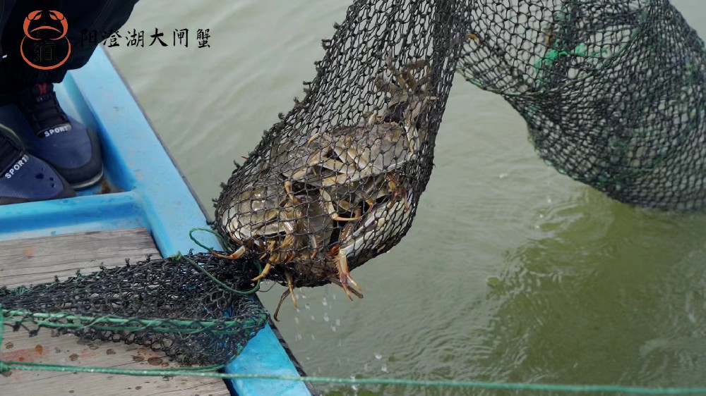 養(yǎng)殖基地